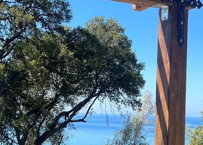 Villa Golden Olive *