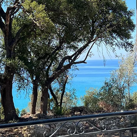 Golden Olive * Lourdata (Kefalonia)