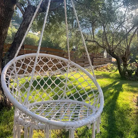 Willa Golden Olive *